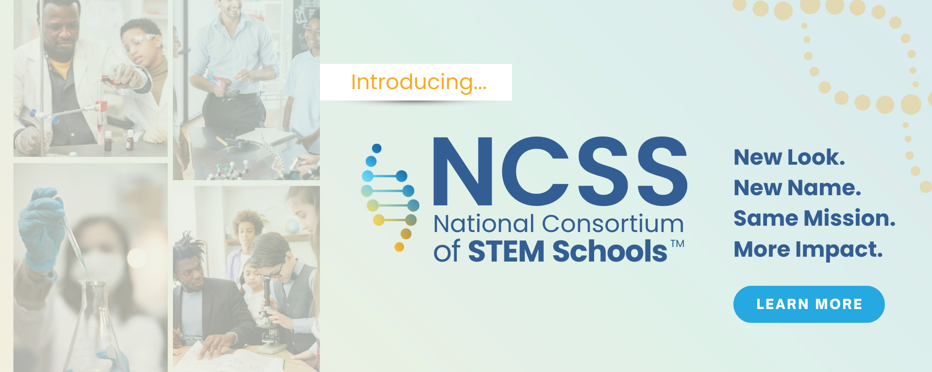NCSS Intro Banner (1)